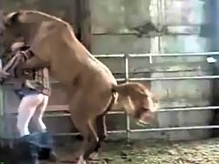 Two farmers trying threesome with pony